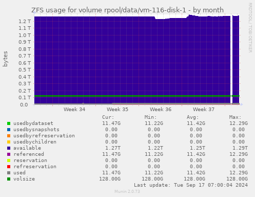 ZFS usage for volume rpool/data/vm-116-disk-1